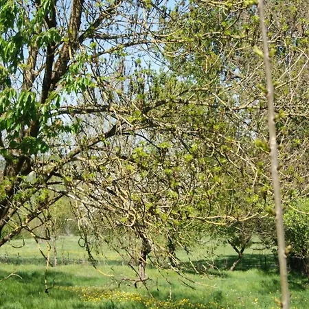 4-bedroom Alsace Retreat Niderviller