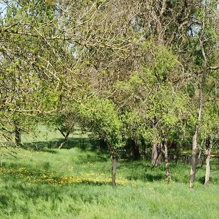 Semesterbostad 4-bedroom Alsace Retreat *