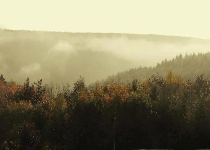 4-bedroom Alsace Retreat Niderviller