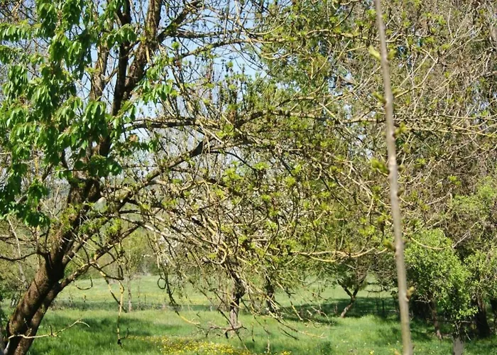 4-bedroom Alsace Retreat Niderviller