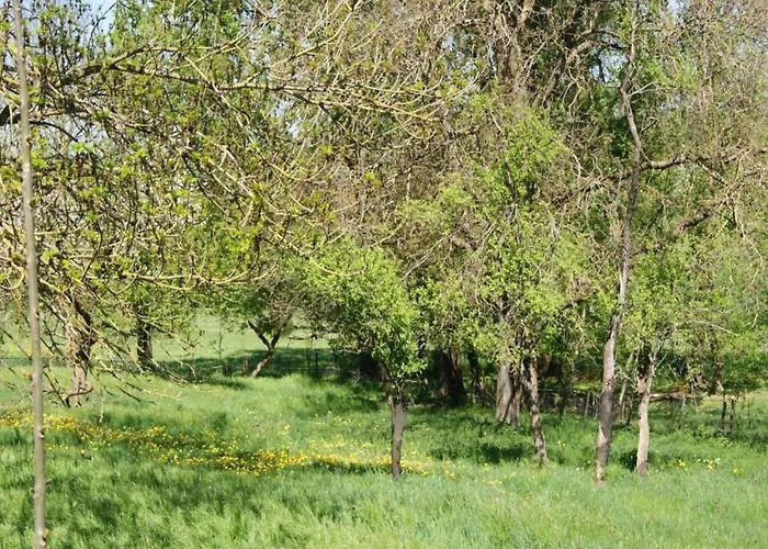 度假居 4-bedroom Alsace Retreat *