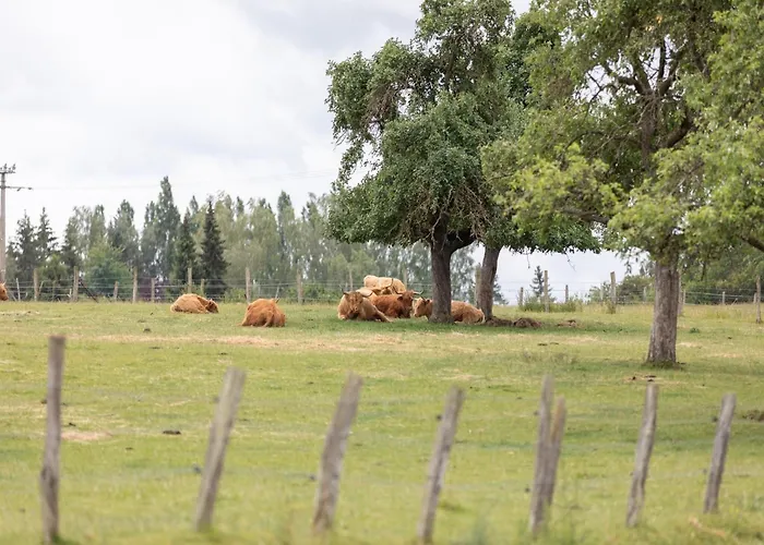 4-bedroom Alsace Retreat * Niderviller